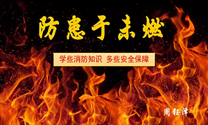 港奥宝典资料